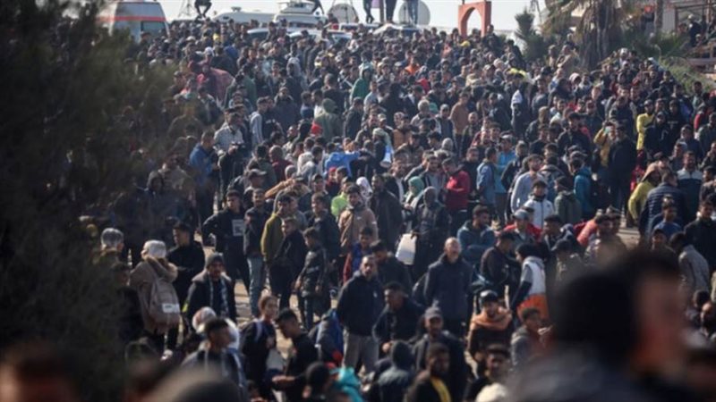 بوابة روز اليوسف