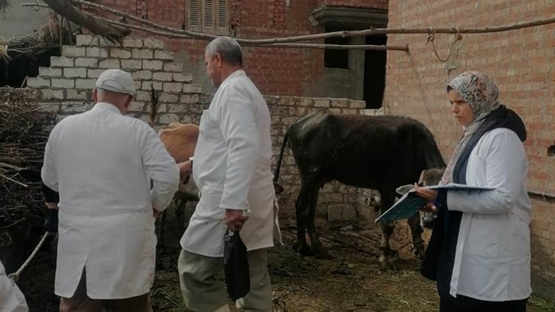 جانب من الحملة