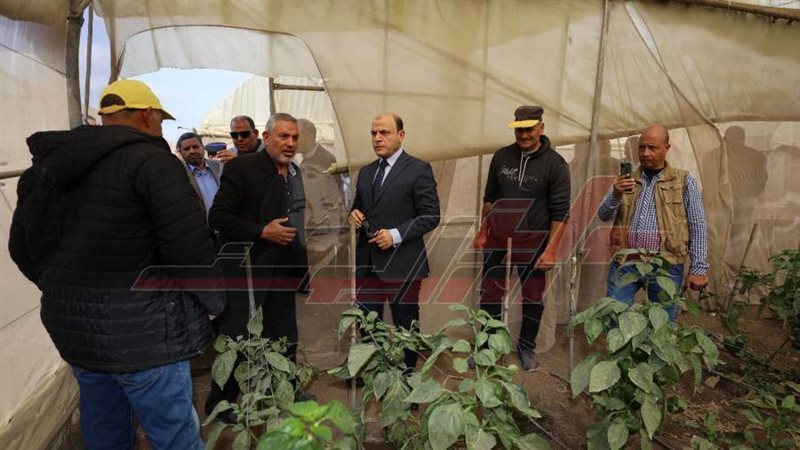 محافظ كفر الشيخ