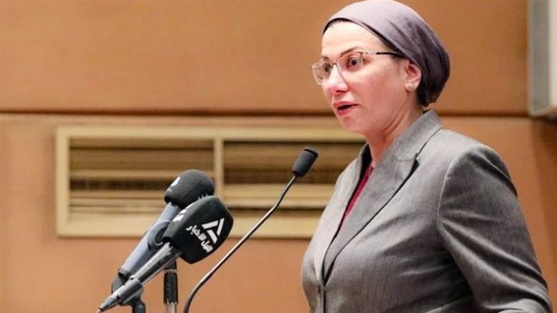 د. ياسمين فؤاد وزيرة