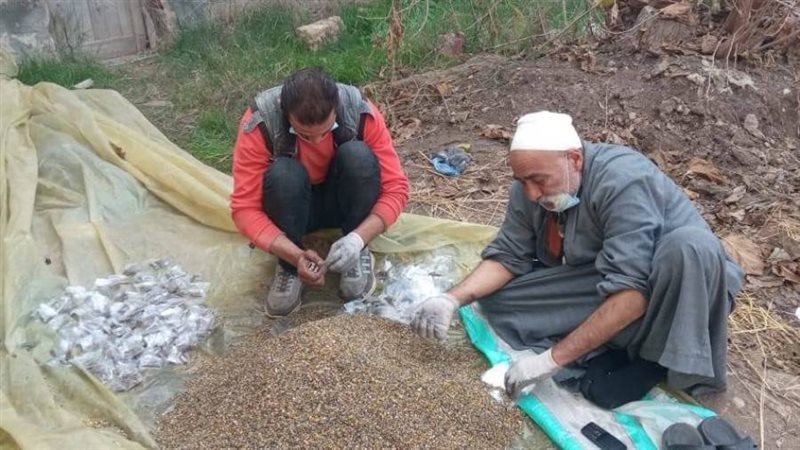 جانب من الحملة