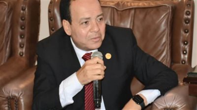 برلمانية حماة الوطن: تصريحات الرئيس بشأن تهجير الفلسطينيين رسالة حاسمة للعالم