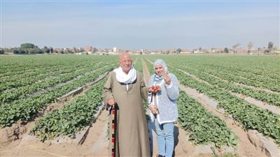 الذهب الأحمر 