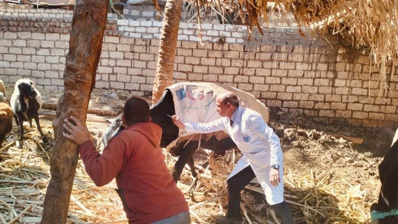 جانب من حملة الطب