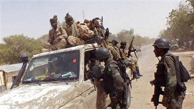 النيجر: الجيش يقتل خمسة إرهابيين في عمليات أمنية