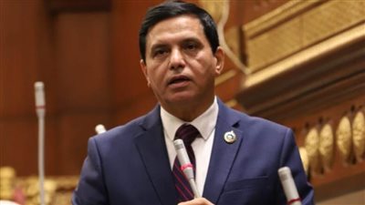 وكيل دفاع الشيوخ: المصريون قالوا كلمتهم أمام معبر رفح