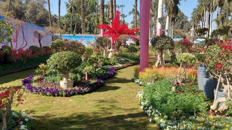 معرض زهور الربيع