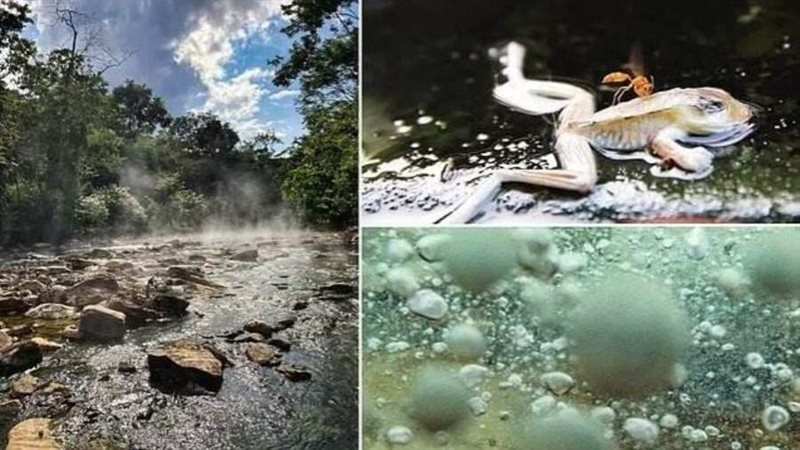 نهر شاناي تيمبيشكا