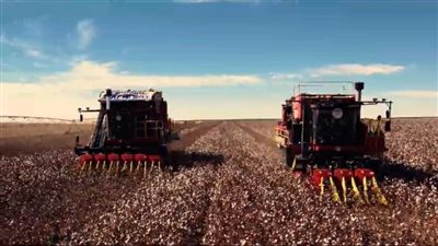 وزير قطاع الأعمال العام يتلقى تقريرا حول مستجدات مشروع زراعة الأقطان قصيرة التيلة بشرق العوينات