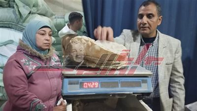 تحرير 15 محضرا تموينيا على المخابز بدسوق في كفر الشيخ