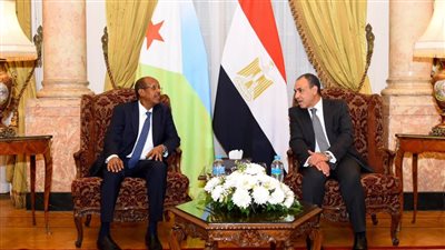وزير الخارجية والهجرة يعقد مشاورات سياسية مع نظيره الجيبوتي