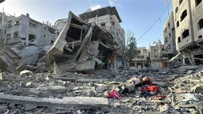 مقررة أممية: الوضع في قطاع غزة 