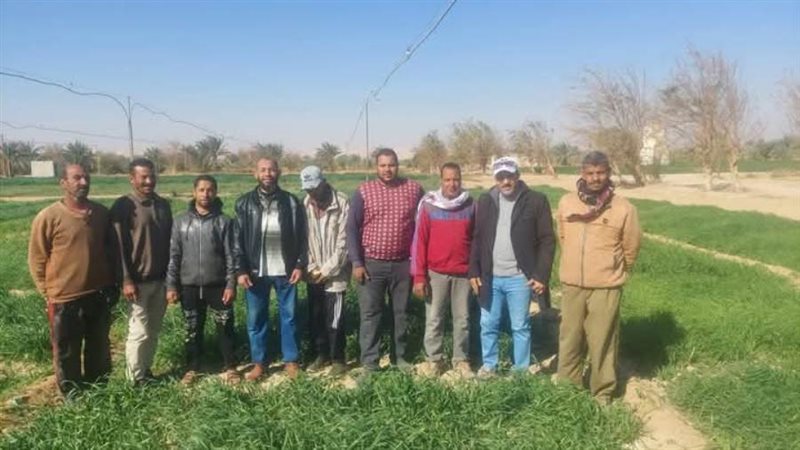 زراعة الوادي الجديد