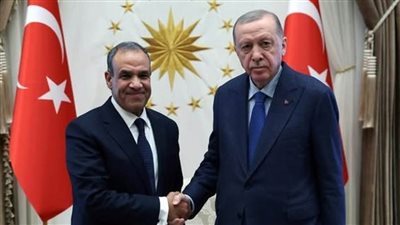 عاجل..بتوجيهات من الرئيس السيسي..وزير الخارجية والهجرة يجتمع مع رئيس جمهورية تركيا