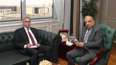 وزير الكهرباء يبحث مع سفير مصر الجديد لدى بكين تعزيز التعاون مع الشركات الصينية