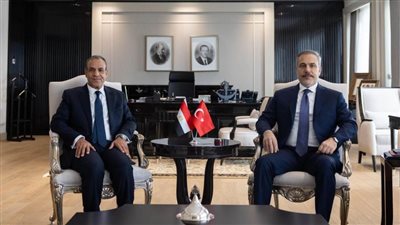 وزيرا الخارجية المصري والتركي يشددان على تكثيف الجهود الدولية لتخفيف المعاناة بـ