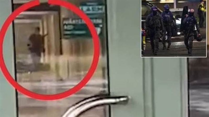 المسلح في المدرسة