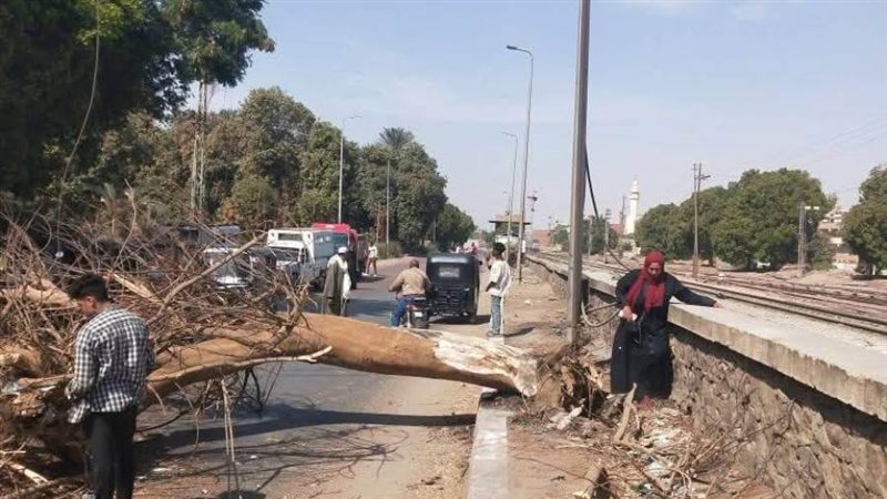 بوابة روز اليوسف