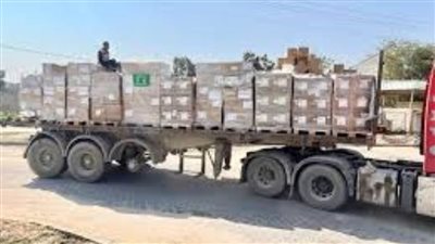 وصول 25 شاحنة إغاثية سعودية لدعم المستشفيات والمراكز الصحية في جنوب قطاع غزة