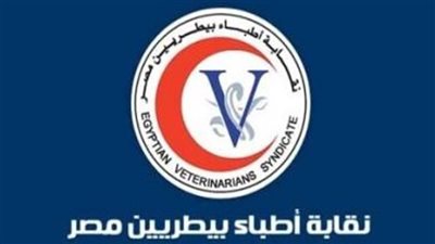  فتح باب التصويت بانتخابات الأطباء البيطريين بفرعيتى القاهرة والجيزة 