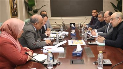 وزيرا الكهرباء وقطاع الأعمال يبحثان التعاون بمجال الطاقة المتجددة والتحول الأخضر