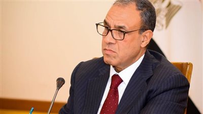 بتوجيهات من رئيس الجمهورية.. اتصالات مكثفة لوزير الخارجية مع عدد من وزراء الخارجية العرب