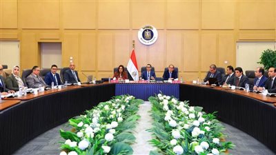 3 وزراء يبحثون سبل تطوير منظومة الرقابة على الصادرات والواردات