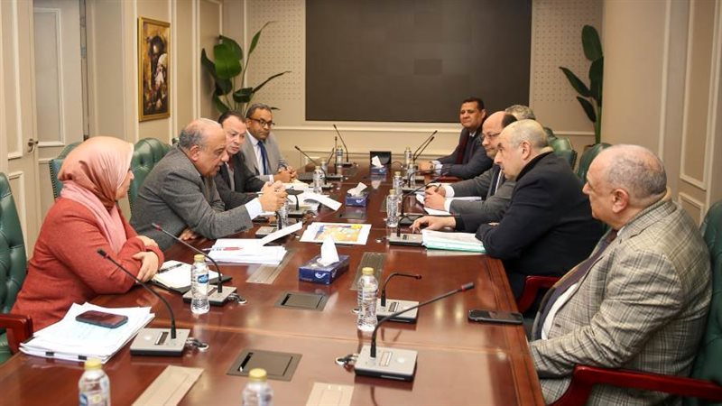 وزير قطاع الأعمال