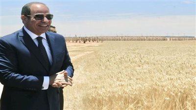 مصر تروض الصحراء وتحولها لسلة غذاء