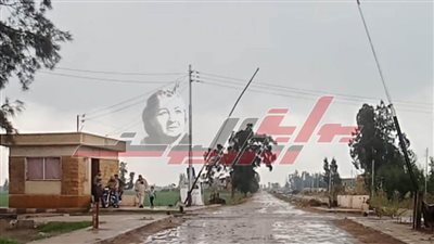 بدء رصف طريق 