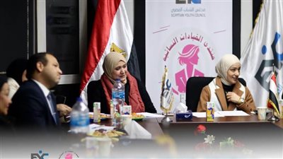 مجلس الشباب المصري يعقد مائدة مستديرة عن حقوق المرأة المصرية ما بعد الاستعراض الدوري الشامل