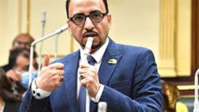 النائب محمد القاضي