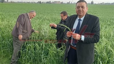 التركاوي: يتابع حماية الأراضي ويتفقد عددًا من الجمعيات الزراعية