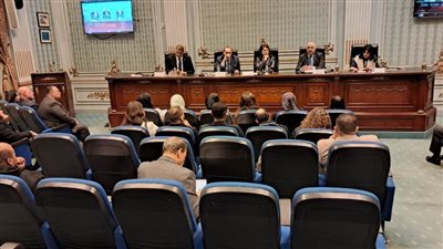 وزير المجالس النيابية يقترح تشريعًا لتيسير إجراءات تصاريح التصوير للأفلام في الأماكن الأثرية