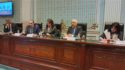 درية شرف الدين: نستهدف وضع إجراءات لمنح تراخيص الأفلام العالمية وإنشاء جهة مختصة بذلك