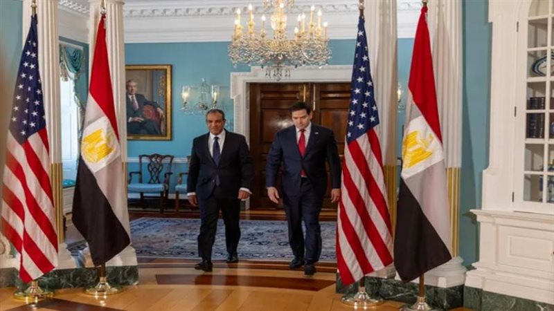 وزير الخارجية المصري