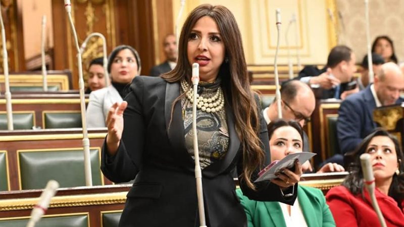 النائبة نشوى الشريف