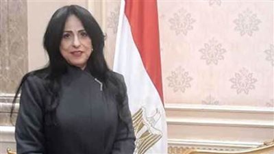 ميرال الهريدي: ضغوط ترامب لن تثني مصر عن موقفها الثابت تجاه القضية الفلسطينية