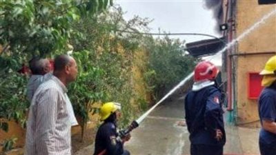 الحماية المدنية تسيطر على حريق مزرعة دواجن في الشرقية