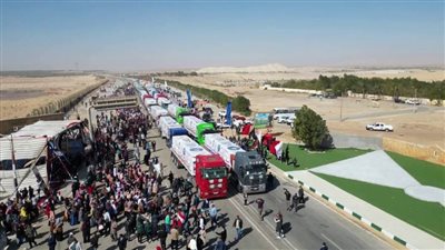 الوادي الجديد ترسل 840 طن مواد غذائية لأهالي غزة