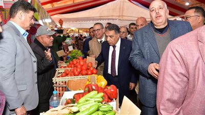 محافظ الدقهلية يفتتح معرض 