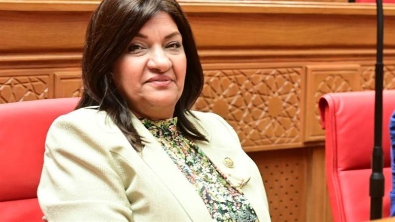 النائبة ايفلين متى: