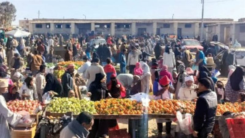 بوابة روز اليوسف