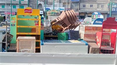 محافظ الإسكندرية يشدد على تكثيف حملات إزالة الإشغالات والتعديات بأحياء الثغر