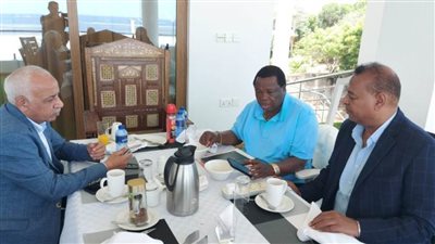 عبدالمنعم الجمل يلتقي رئيس منظمة الوحدة الإفريقية لبحث الملفات  المشتركة