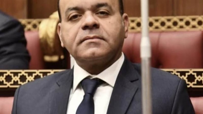 النائب عمرو القماطي