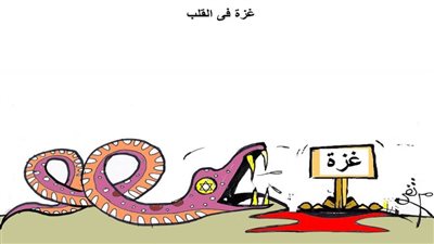 غزة في القلب