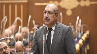 رئيس برلمانية الشعب الجمهوري بالشيوخ يدعو لإنشاء فروع بالجامعات تهتم بريادة الأعمال