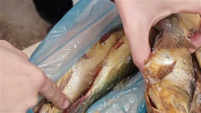  بالصور.. مصادرة مصنعات دواجن و2500 كيلو رنجة و750 قطعة حلوى فاسدة بالغربية