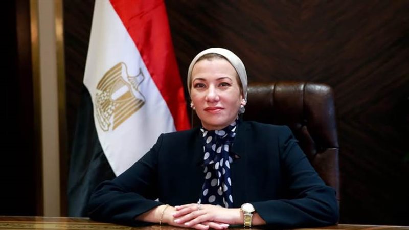 د. ياسمين فؤاد وزيرة